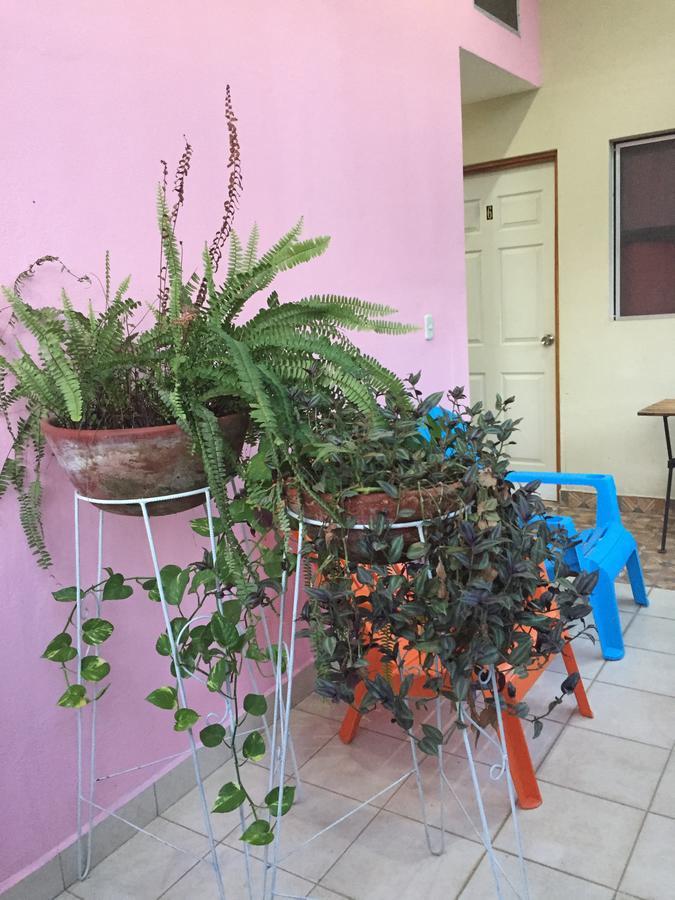 Casa Mokoron Apartment มานากัว ภายนอก รูปภาพ